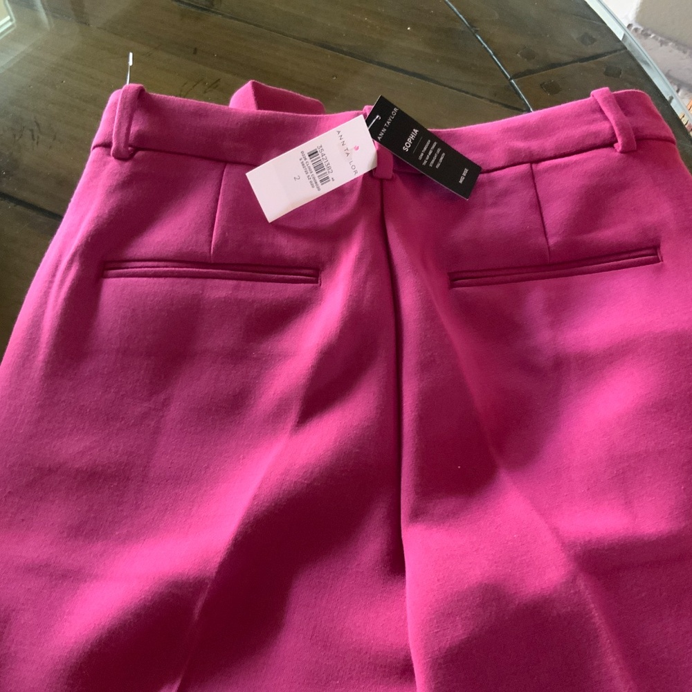 Ann Taylor Sophia Pants - Picture 2 of 4